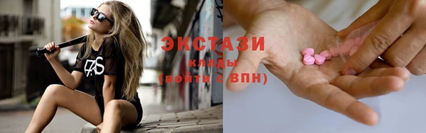 индика Переславль-Залесский