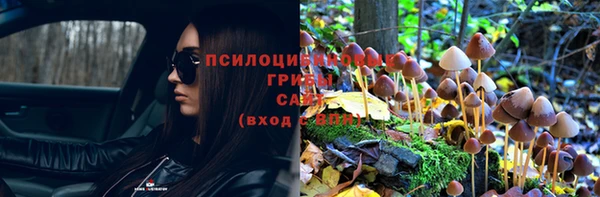 индика Переславль-Залесский